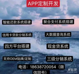 刷脸支付APP系统与票务代理服务的融合开发